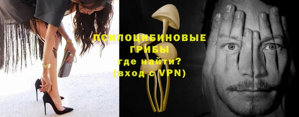PSILOCYBIN Алексин