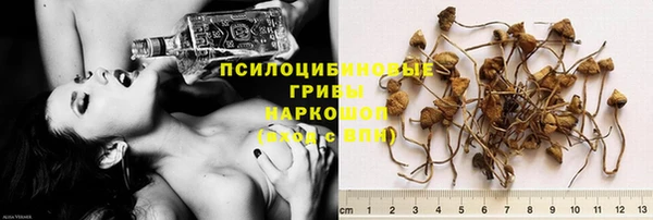 гидропоника Алексеевка