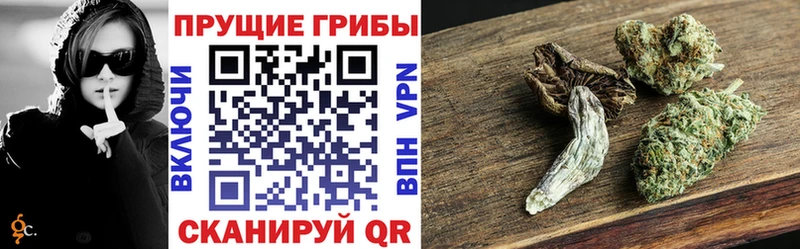 Псилоцибиновые грибы мухоморы  Боготол 